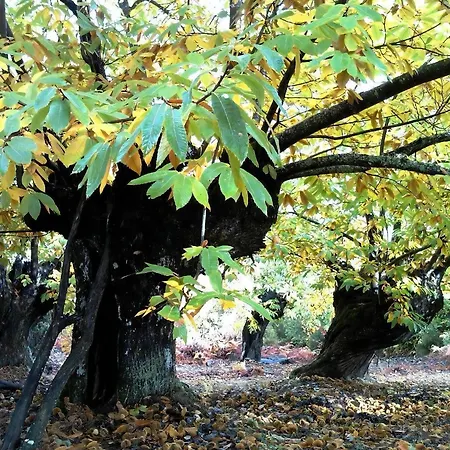 Rural Medulas Haus 3, Belegung 4 6 Pax, Prázdninový dům *